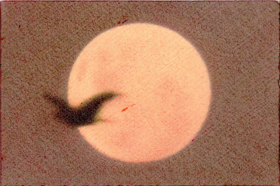 2026_06_26_2566553