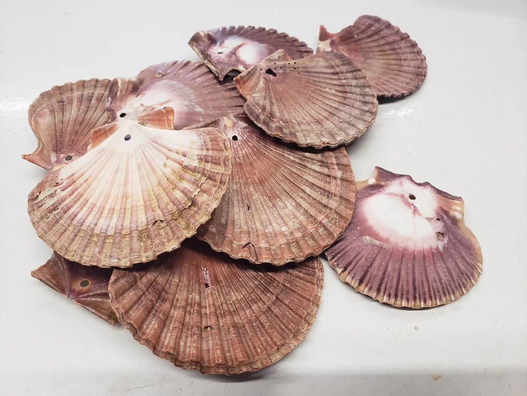 2026_06_26_2666580
