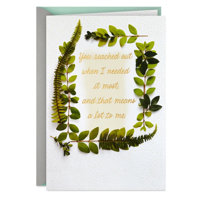 hallmark202606242334232387845