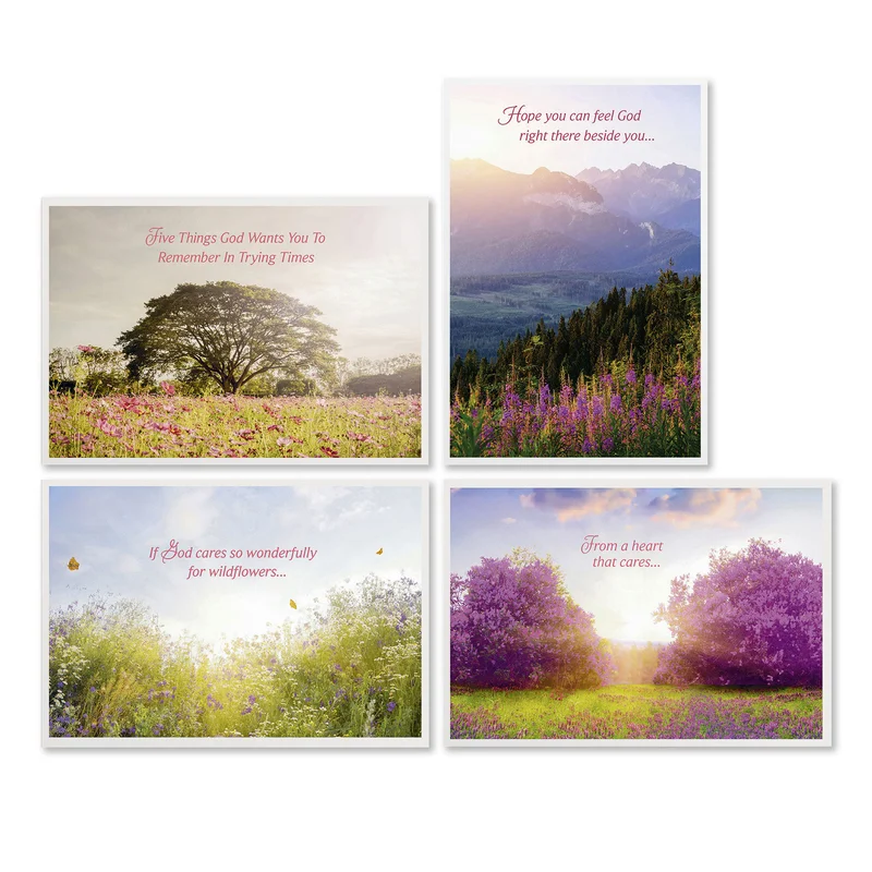 hallmark202606251559552472113