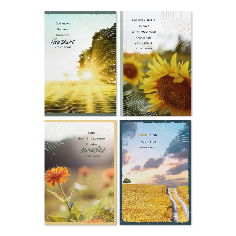 hallmark202606251620062473180