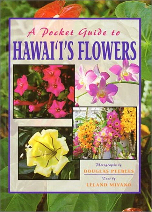 hawaiigifts202606241721342345830