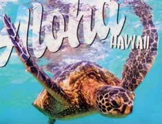 hawaiigifts202606241729172346821