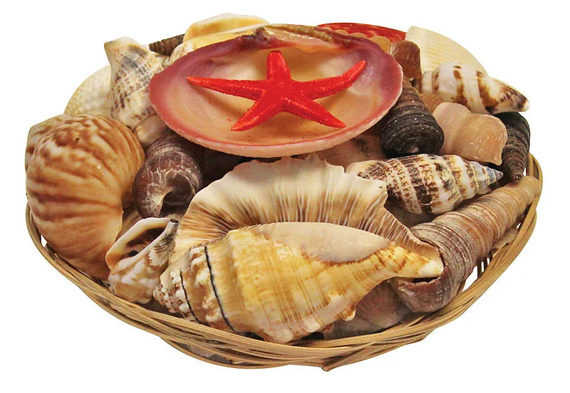 hawaiigifts202606241737552347999